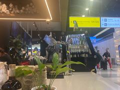 -谢列梅捷沃国际机场