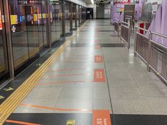 -松哥油焖大虾(皇岗一店)