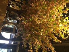 吉川居酒屋-吉川居酒屋(建国北路店)