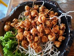 越南香炸鱿鱼嘴-越谜·越南餐厅(长白店)
