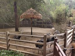 -北京野生动物园