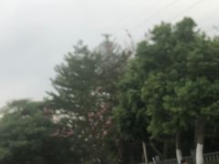 -梵天禅寺