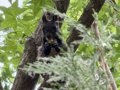 -北京凤凰岭
