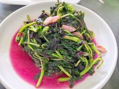 清炒米苋-沪依小酒馆心意菜