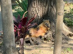 -北京野生动物园