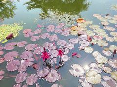 -国家植物园南园