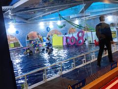 -海帆亲子游泳(茂业中心)