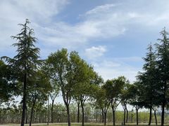 -洨河生态公园
