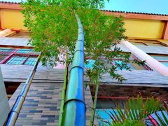 -陈熹公民族美食文化餐厅(中华广场店)