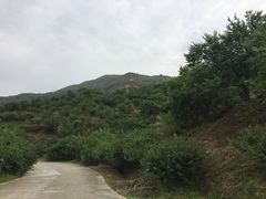 -广州市流溪河国家森林公园