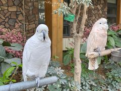 -南宫五洲植物乐园