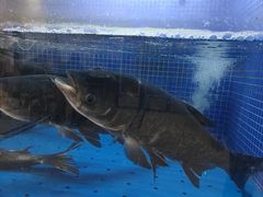 -香山湖渔家大院