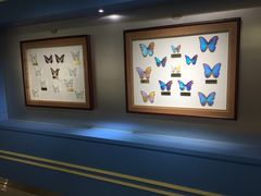 -上海昆虫博物馆