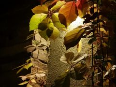 -春晖园度假酒店温泉