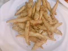 -大碗居老北京炸酱面(蛇口店)