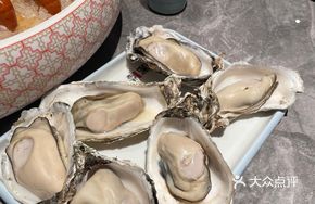 Authentic Rushan Premium Oyster