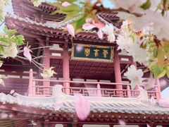 -西安青龙寺遗址景区