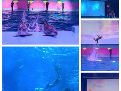-南昌融创海世界