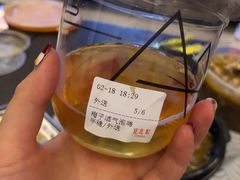 -去茶山