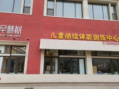 -早慧树儿童感觉统合体能训练中心(市北校区)