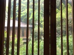 -大妙火锅·非物质文化遗产(东湖公园店)