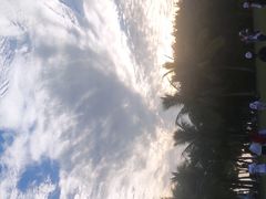 -福田红树林生态公园
