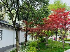 -嘉定紫藤园