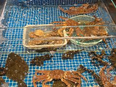 -江户前日本料理(瑞诗酒店店)