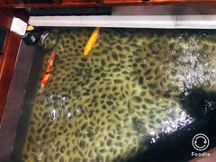 -尺山寸水日料(马桥满天星店)