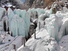 -陕西省红河谷森林公园
