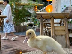 -伴山茶苑·围炉煮茶