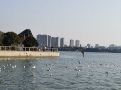 -蠡湖大桥公园
