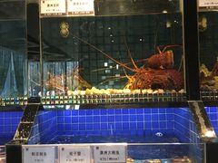 -官也街澳门火锅(新源里店)