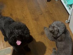 -宠物家(大兴旧宫店)