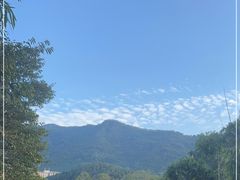 -深圳仙湖植物园