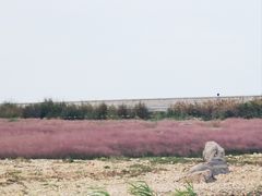 -长岛南北长山旅游景区