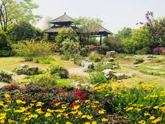 -无锡蠡湖国家湿地公园-蠡园