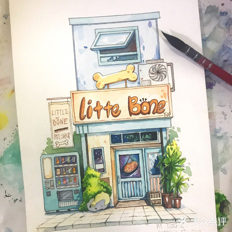 让愿望住进画册，我们的“圆梦”时刻到啦🥳