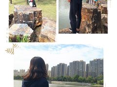 -南翔镇银翔湖公园