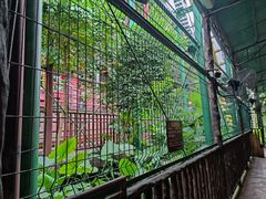 -长鹿旅游休博园