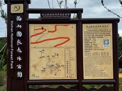 -北京西山国家森林公园