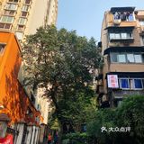 吃喝玩乐｜清早一碗还魂面