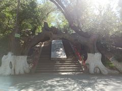 -水磨沟公园