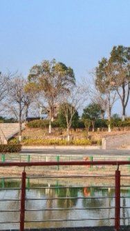 -江滩湿地公园