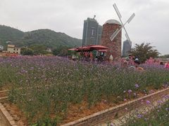 -玫瑰海岸文化旅游度假区