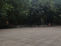 -唐城墙遗址公园