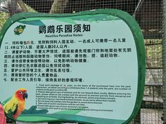 -呀诺达热带雨林