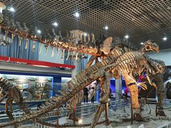 -国家自然博物馆