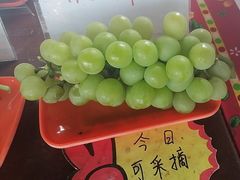 -马陆小张葡萄园农家乐