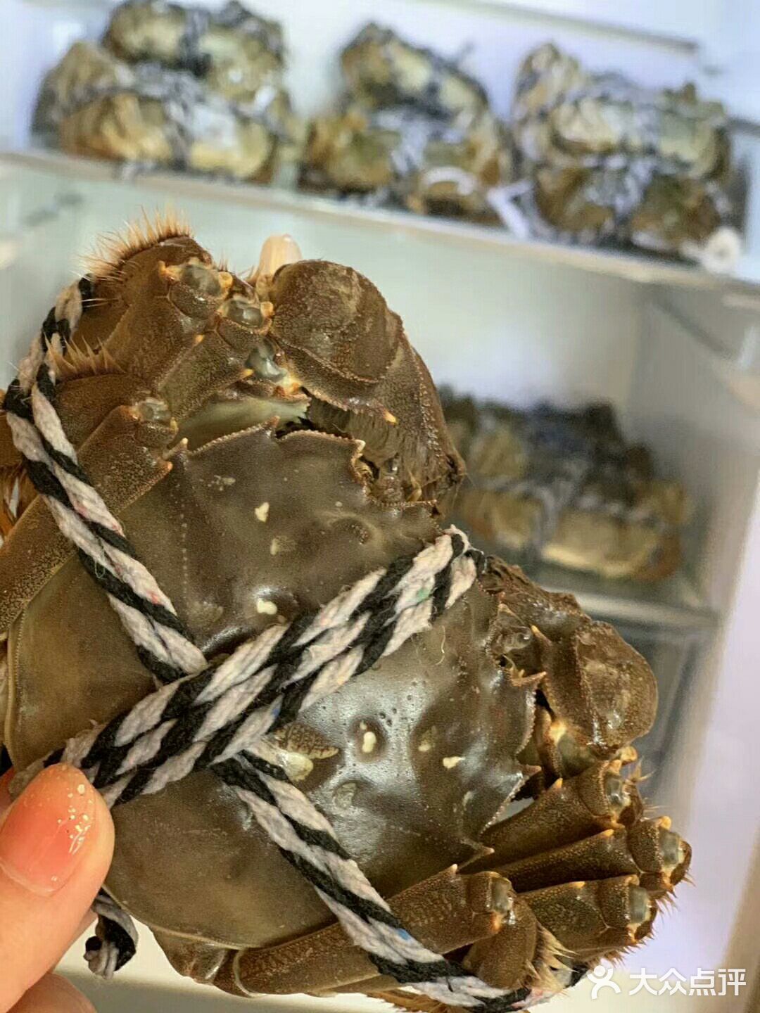 正宗的阳澄湖大闸蟹